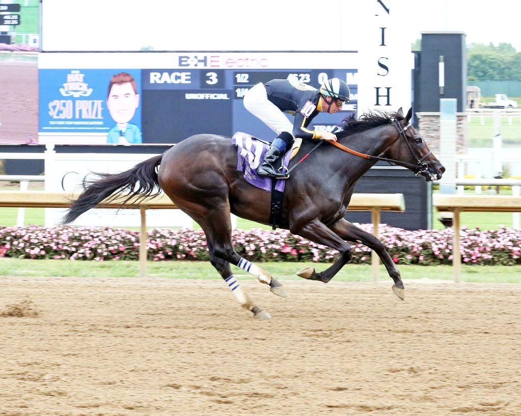 Black colt winning Race 3 at Horseshoe Indianapolis