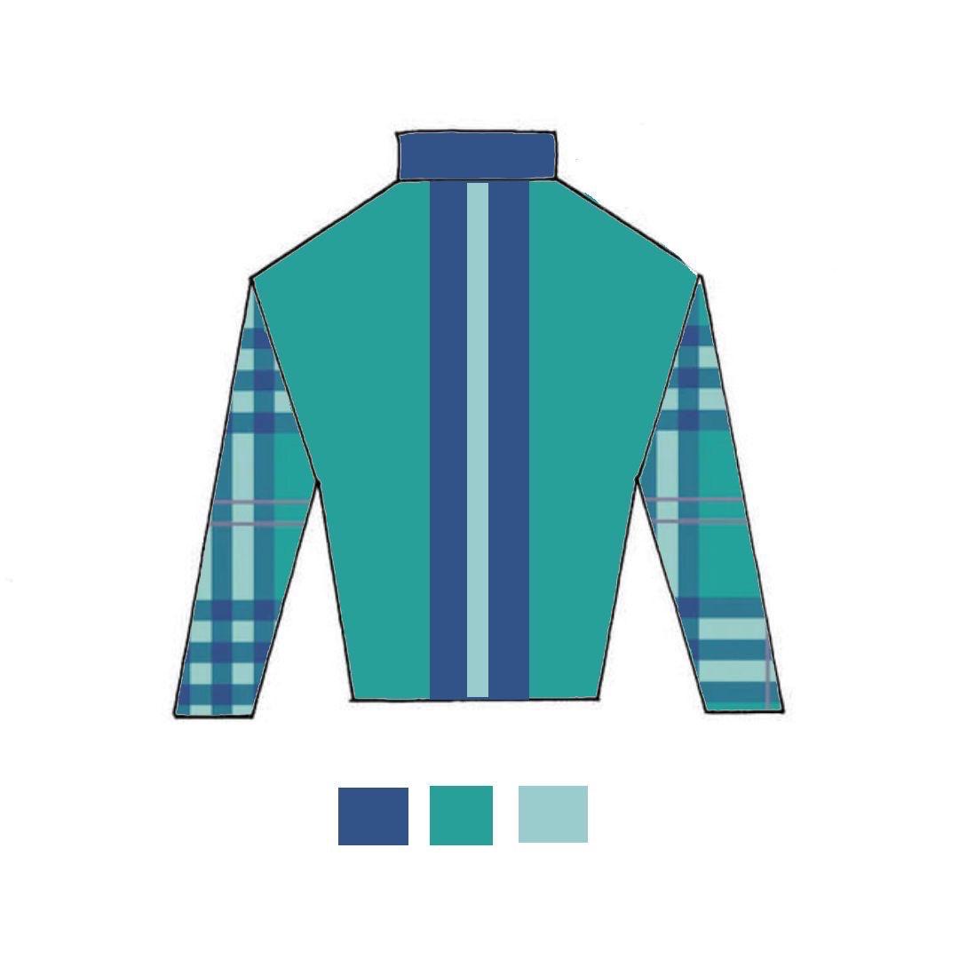Racing silks: teal body, royal blue stripe, plaid sleeves